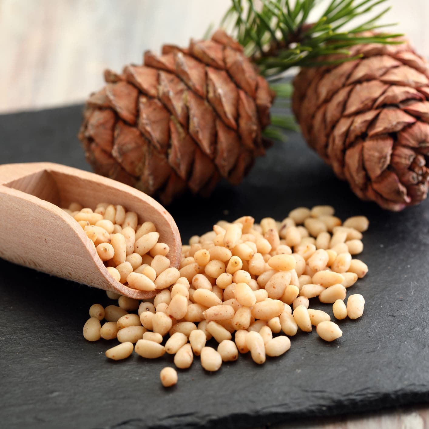Pine Nuts | 100g - Cash and Carry